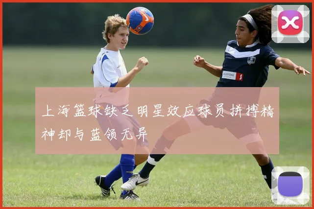 上海篮球缺乏明星效应球员拼搏精神却与蓝领无异