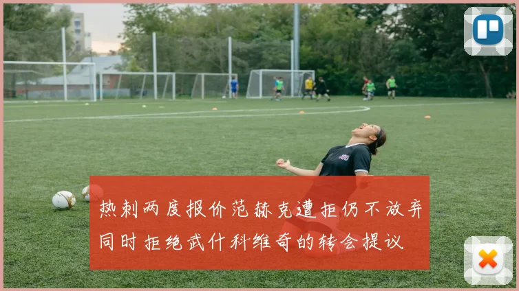 热刺两度报价范赫克遭拒仍不放弃同时拒绝武什科维奇的转会提议