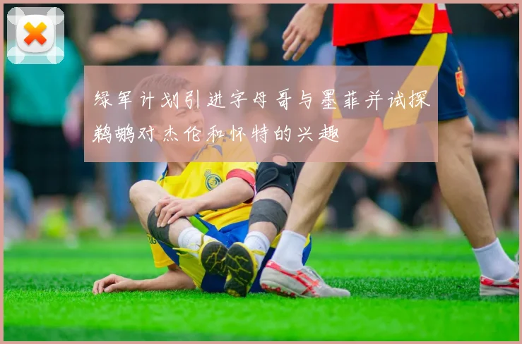 绿军计划引进字母哥与墨菲并试探鹈鹕对杰伦和怀特的兴趣